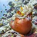 Underwater camera Scubapro SeaLife MICRO 3.0 64 GB