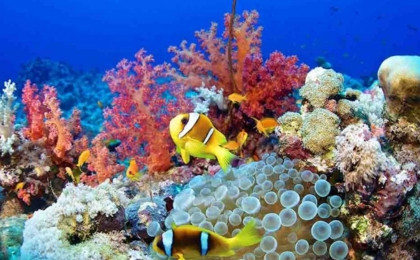 Winter holiday by the sea: Where to go and what not to forget to pack