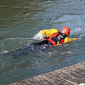 Safety vest Northern Diver EVO X PFD