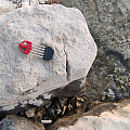 Spear tips Omer MUSTAD HR RED 5-HROT