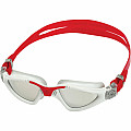 Swimming goggles Aqua Sphere KAYENNE titanium. mirror glass silver